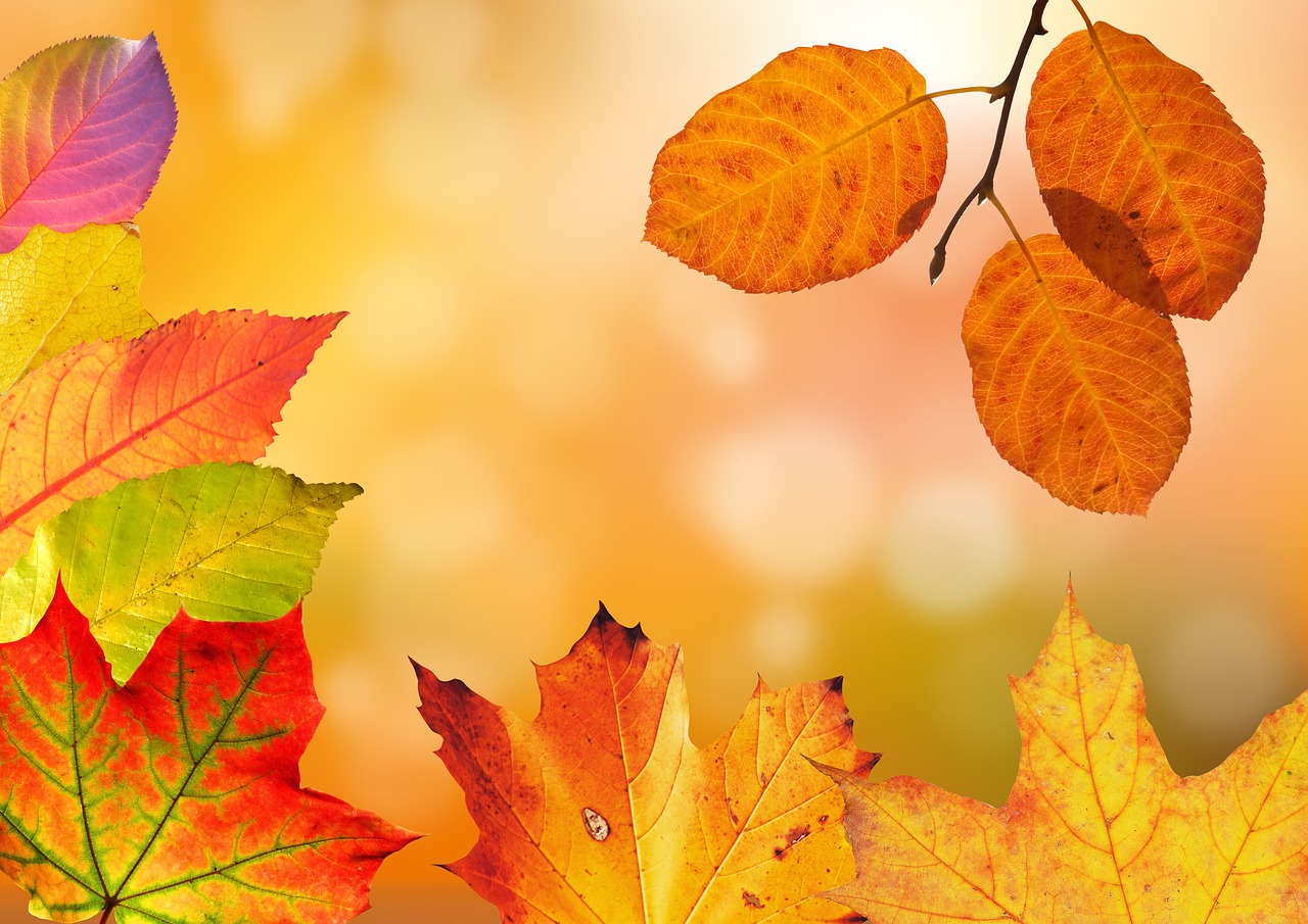 Herfstdecoraties in de lente voor gezellige sfeer. Herfstdecoraties in de lente voor gezellige sfeer.